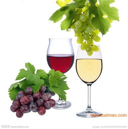 上海保稅區(qū)法國葡萄酒專業(yè)進(jìn)口報關(guān)代理服務(wù)全解析